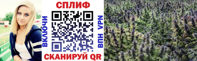 Каннабис THC 21% OMG сайт Мичуринск
